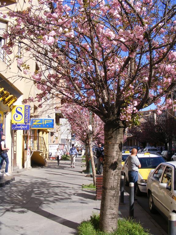 Valor Central Apartments Скоп'є Екстер'єр фото